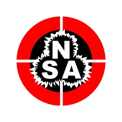 NSA Nielsen Slug .30 Cal, 54.5 Grains
